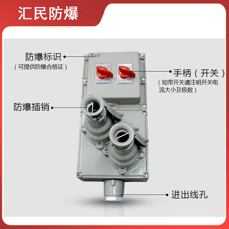 安徽乐动app官网入口防爆电气有限公司BXX51防爆动力检修箱